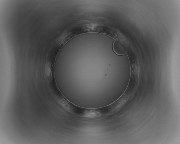 X0000113030754200909031251