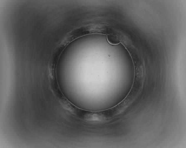 X0000113030755200909031251