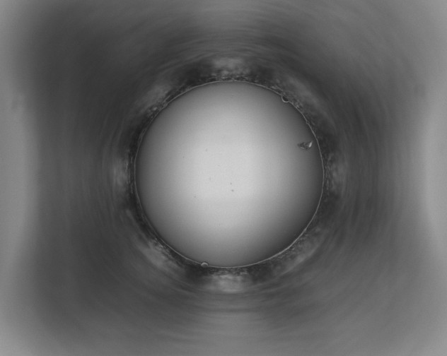 X0000113030756200909031251