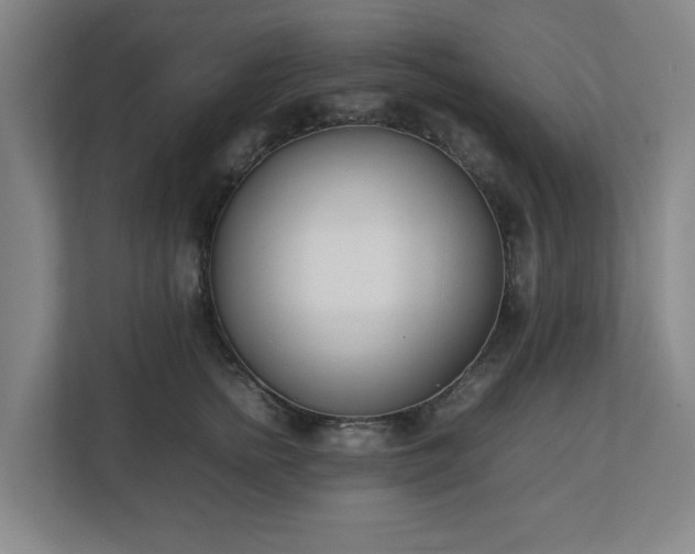 X0000113030758200909031251