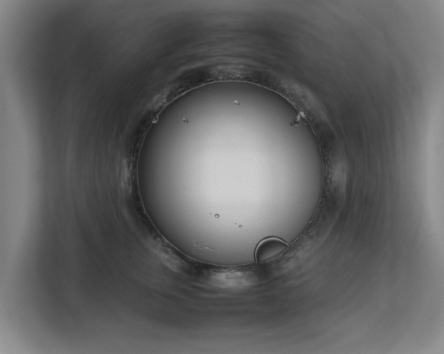 X0000113030759200909031251