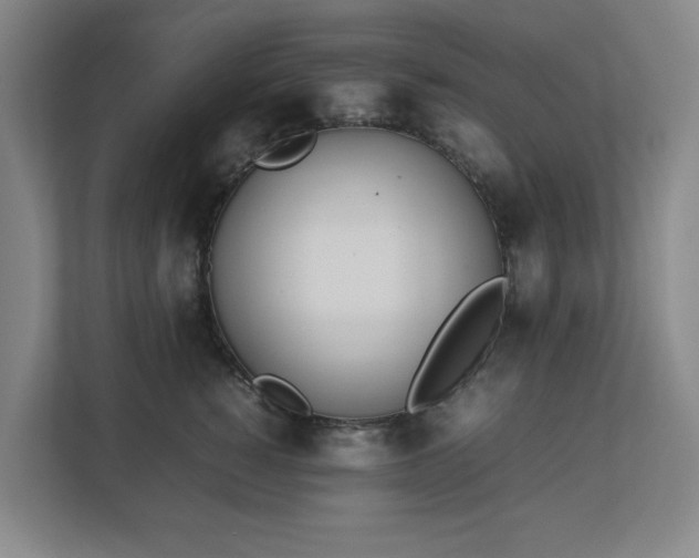 X0000113030760200909031251