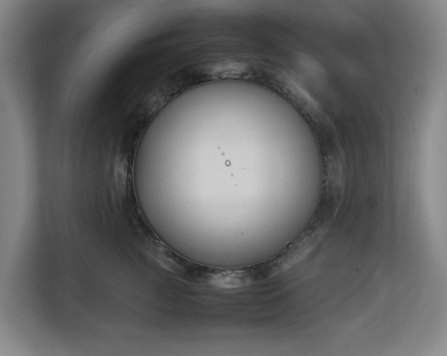 X0000113030761200909031251