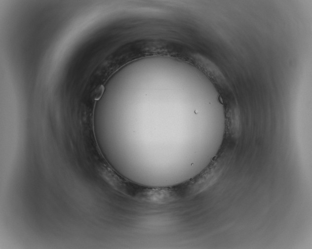 X0000113030762200909031251