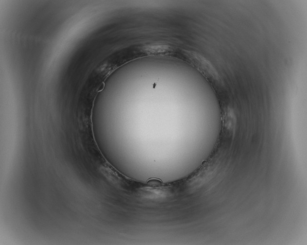 X0000113030763200909031251