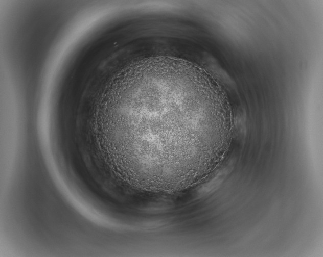 X0000113030765200909031251