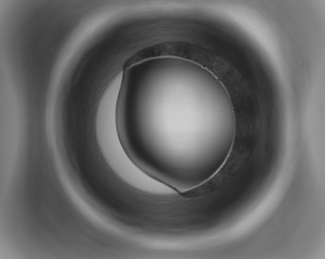 X0000113030766200909031251