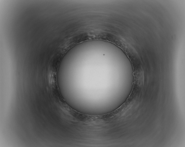 X0000113030770200909031251