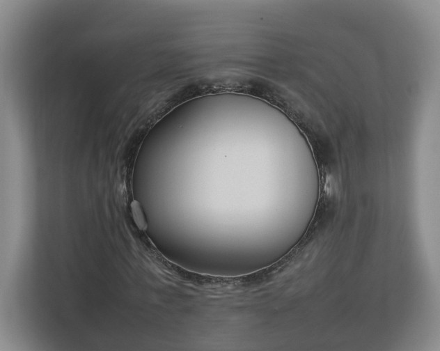 X0000113030771200909031251