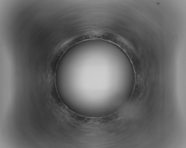 X0000113030773200909031251