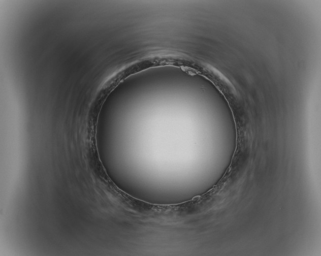 X0000113030775200909031251