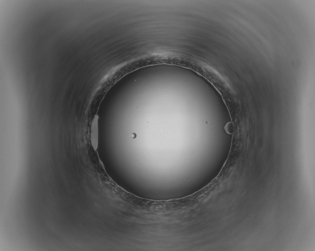 X0000113030776200909031251