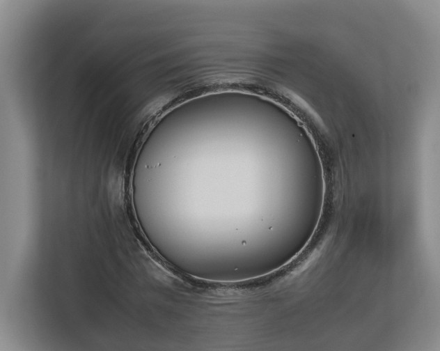 X0000113030777200909031251