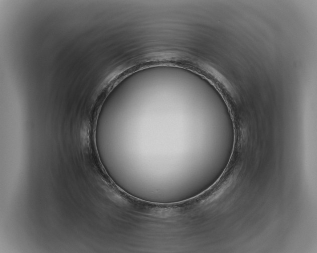 X0000113030778200909031251