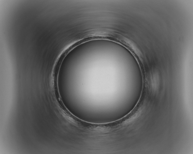 X0000113030779200909031251