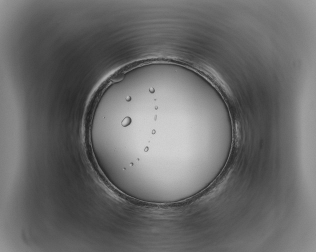 X0000113030780200909031251