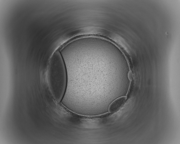 X0000113030781200909031251