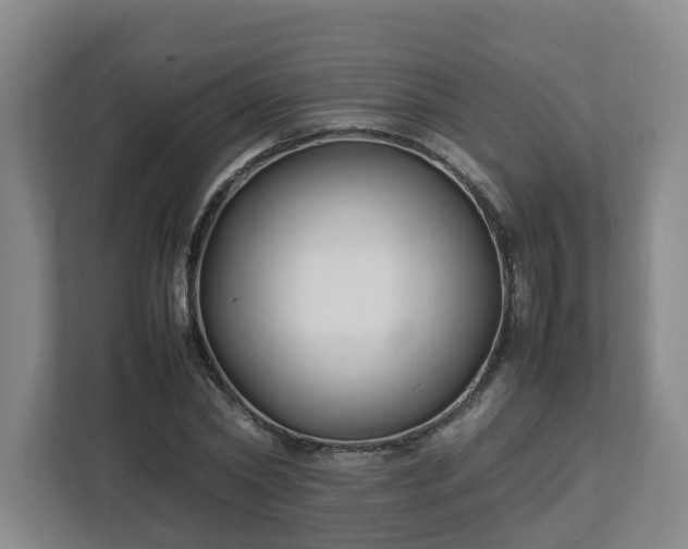 X0000113030782200909031251