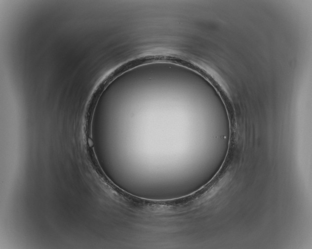 X0000113030783200909031251