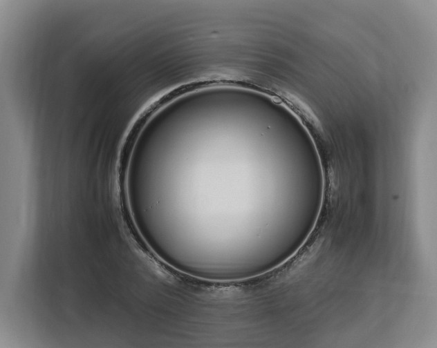 X0000113030784200909031251