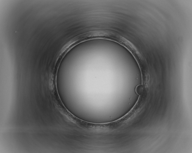 X0000113030786200909031251