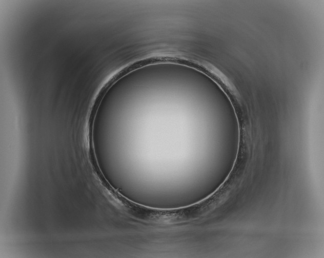 X0000113030791200909031251