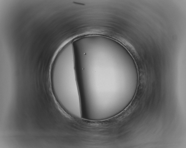 X0000113030792200909031250