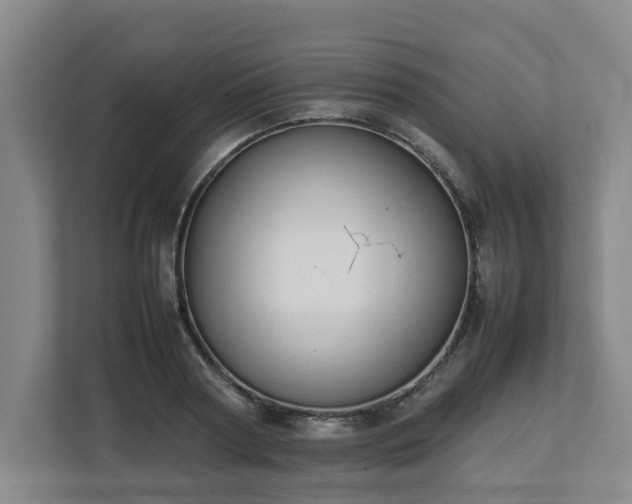 X0000113030794200909031250