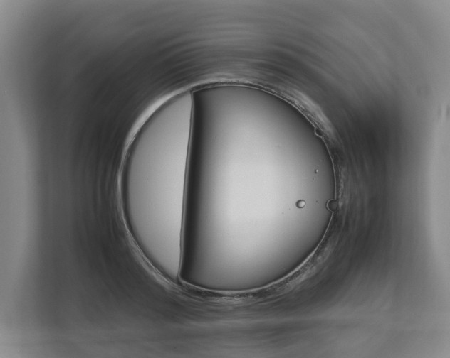 X0000113030796200909031250