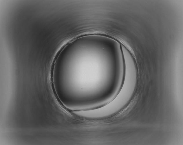 X0000113030797200909031250