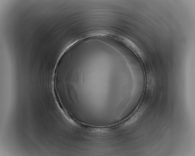 X0000113030802200909031250