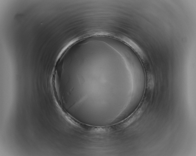 X0000113030806200909031250