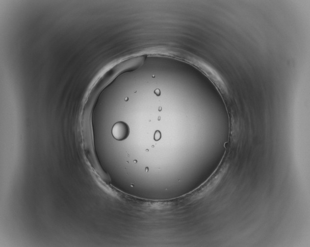 X0000113030808200909031250