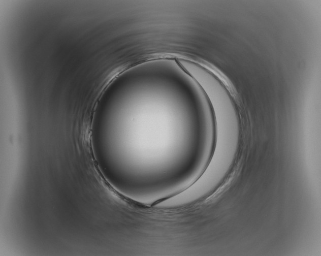 X0000113030809200909031250