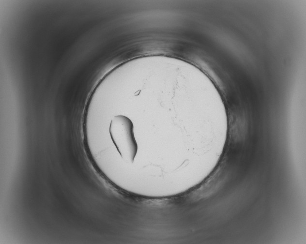 X0000113030810200909031250