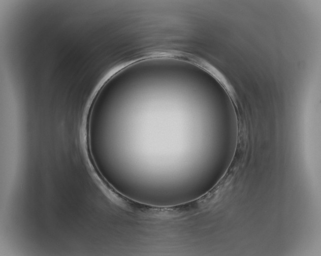 X0000113030811200909031250