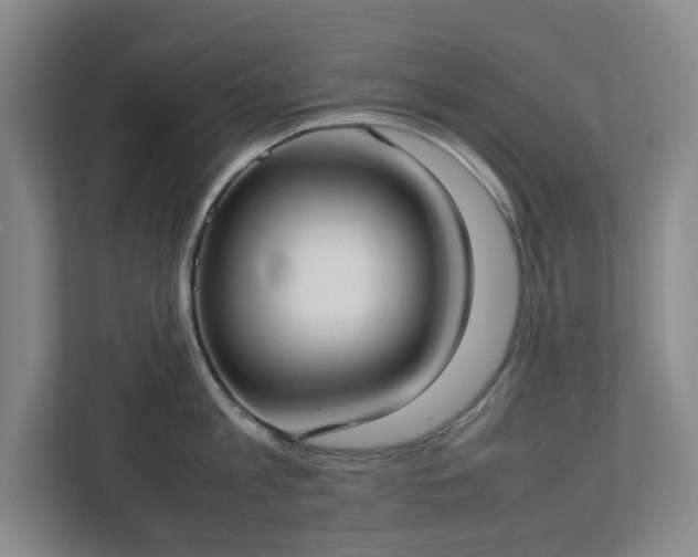 X0000113030813200909031250