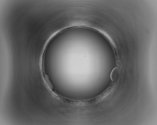 X0000113030815200909031250