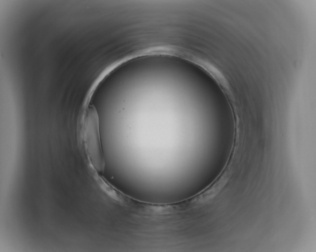 X0000113030816200909031250