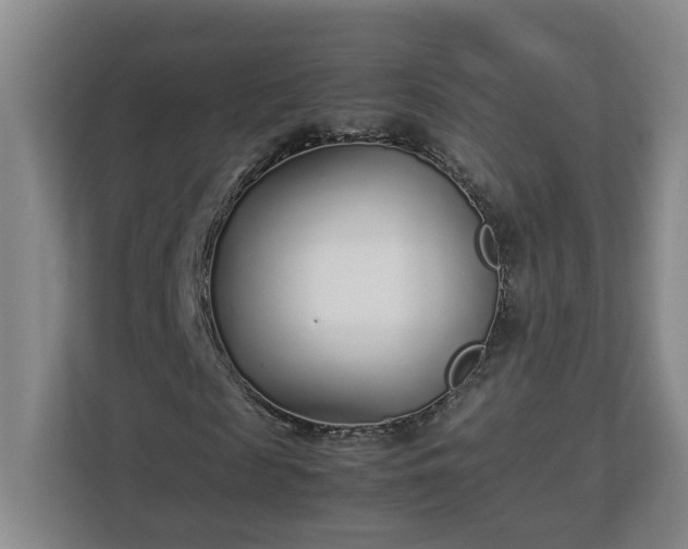 X0000113030817200909031250