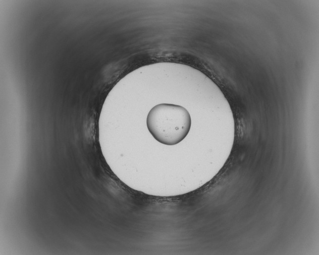 X0000113030820200909031250