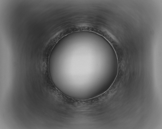 X0000113030821200909031250