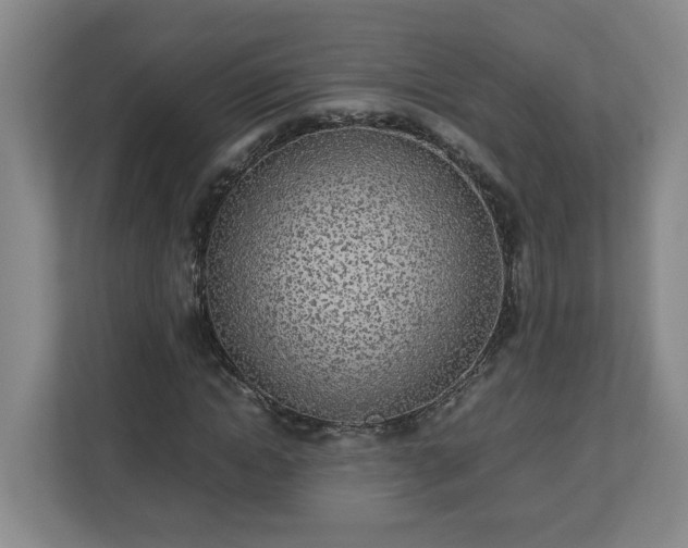 X0000113030822200909031250