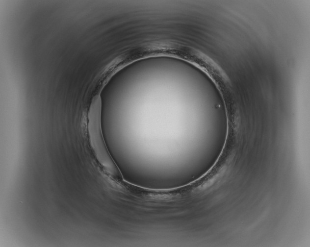 X0000113030825200909031250