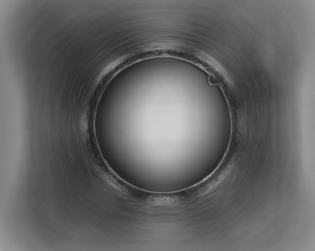 X0000113030826200909031250