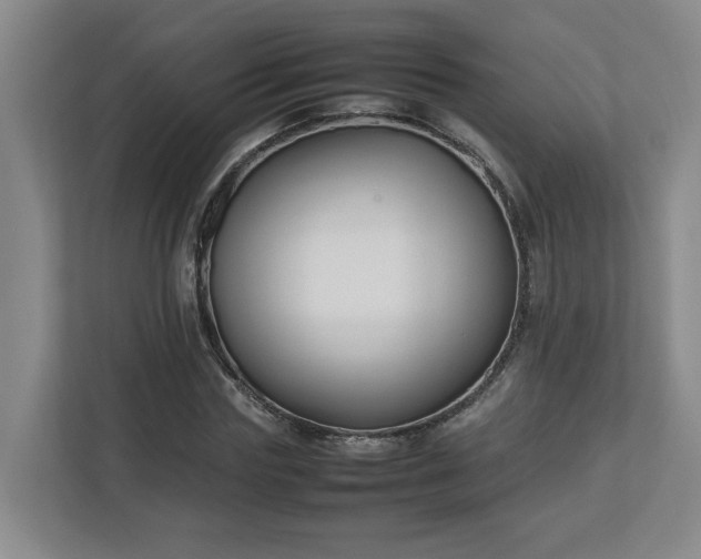 X0000113030827200909031250