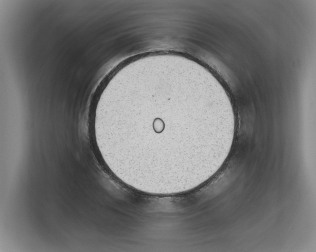 X0000113030828200909031250