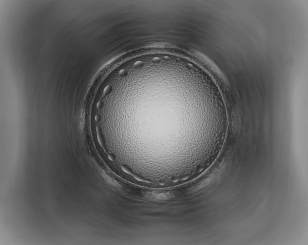 X0000113030831200909031250