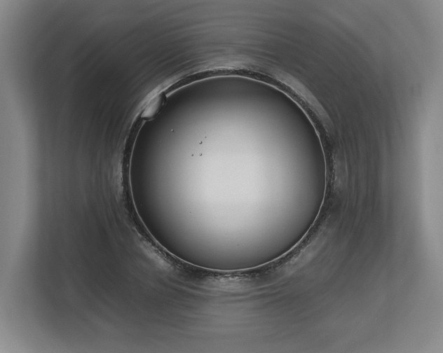 X0000113030834200909031250