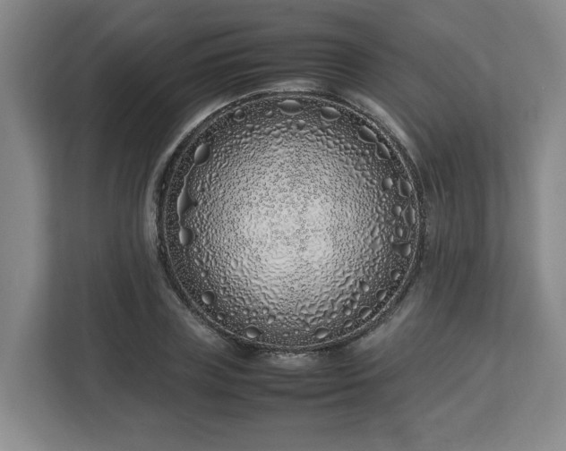 X0000113030835200909031250